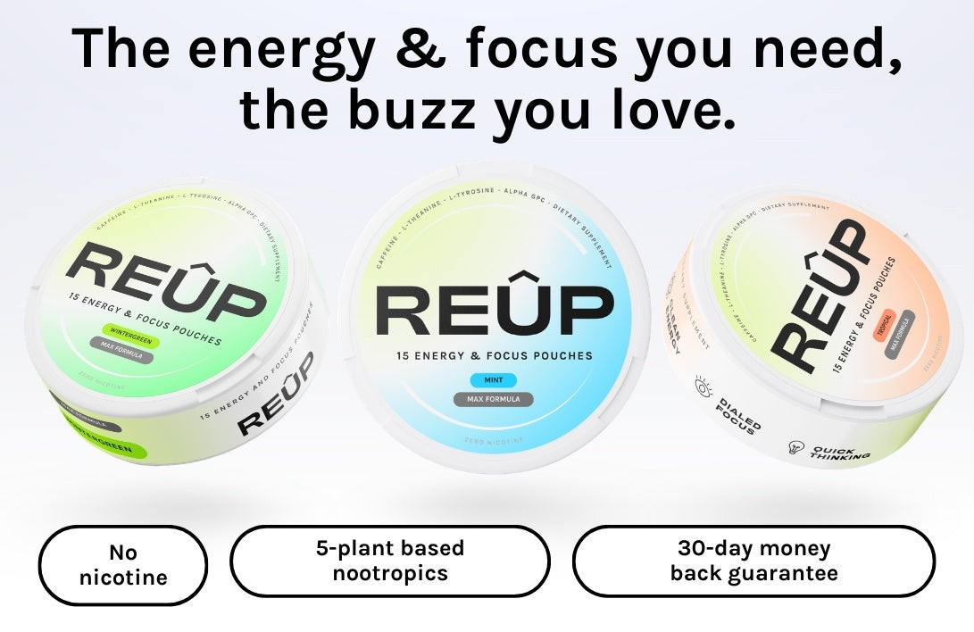 Energy & Focus Nootropic Pouches (15 Pouches) REUP